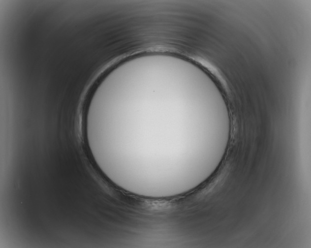 X0000089940886200706290813