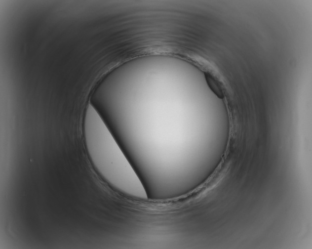 X0000089940889200706290813