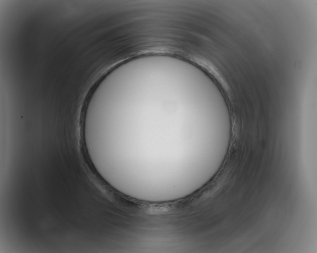 X0000089940890200706290813