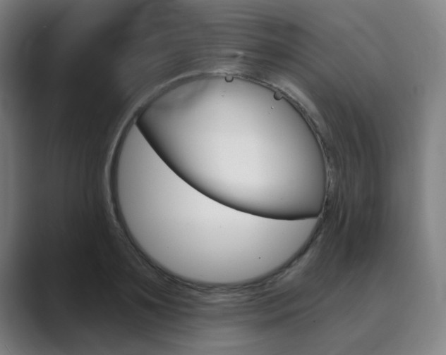 X0000089940891200706290813