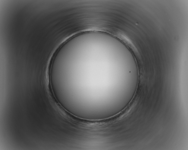 X0000089940892200706290813
