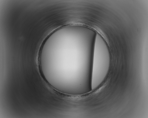 X0000089940893200706290813