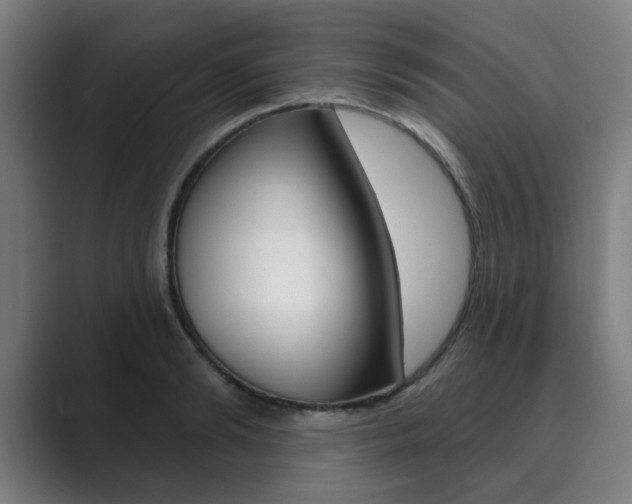 X0000089940894200706290813