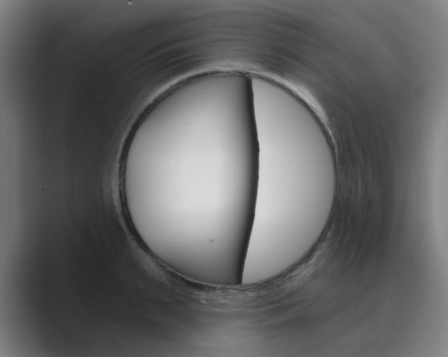 X0000089940895200706290813