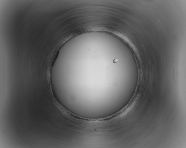 X0000089940897200706290813