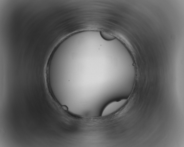 X0000089940899200706290813