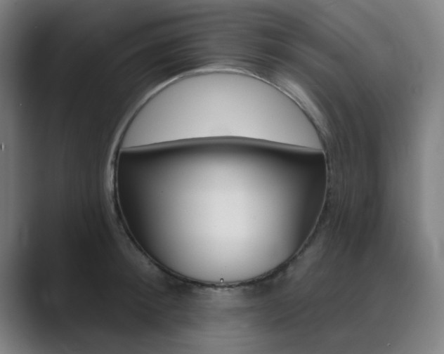 X0000089940900200706290813