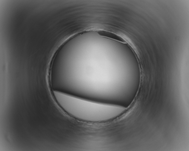 X0000089940901200706290813