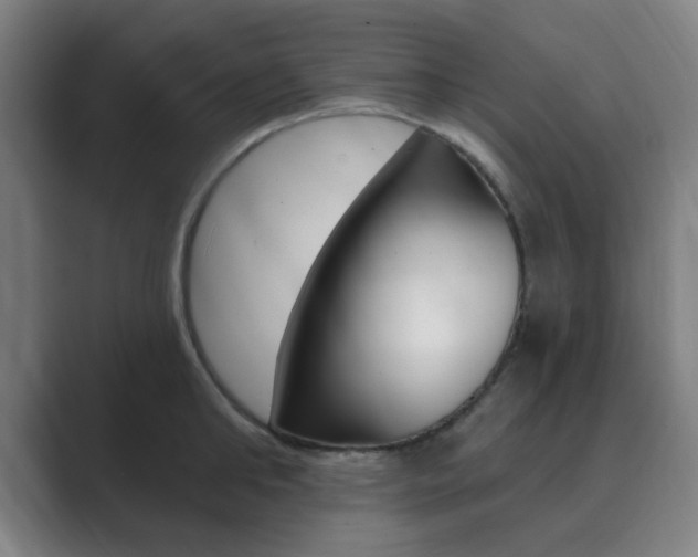 X0000089940902200706290813