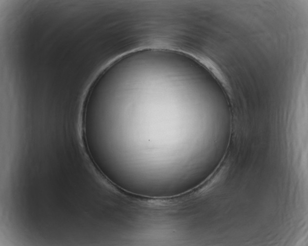 X0000089940904200706290813