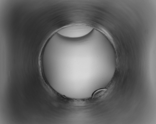 X0000089940907200706290813