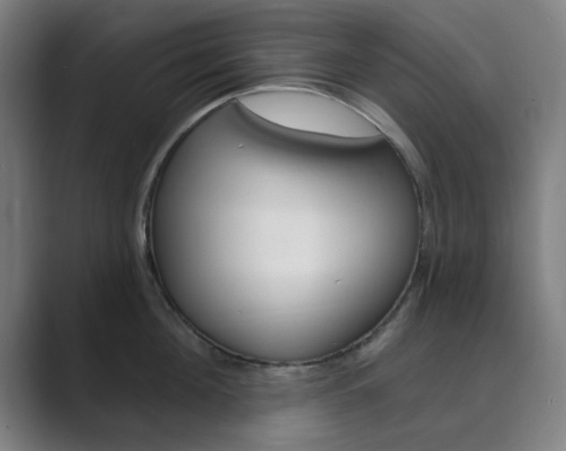 X0000089940908200706290813