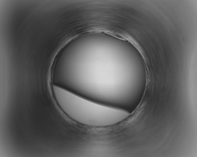 X0000089940909200706290813