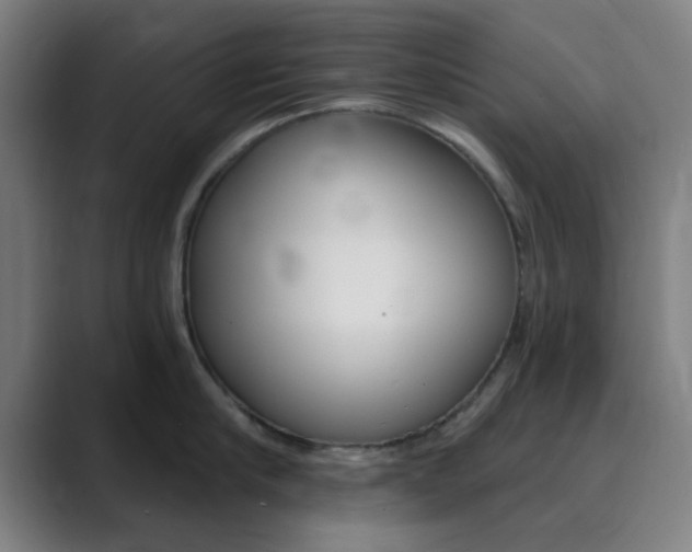 X0000089940910200706290813