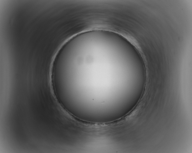 X0000089940912200706290813