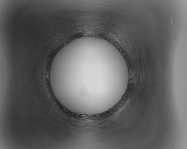 X0000089940913200706290812