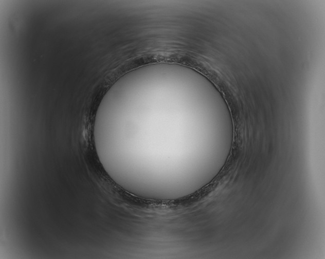 X0000089940914200706290812