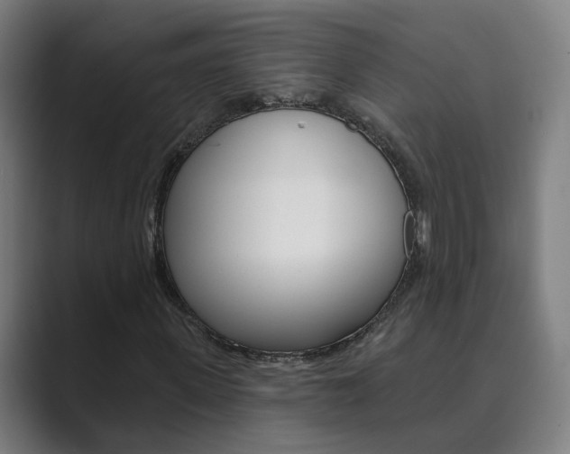 X0000089940915200706290812