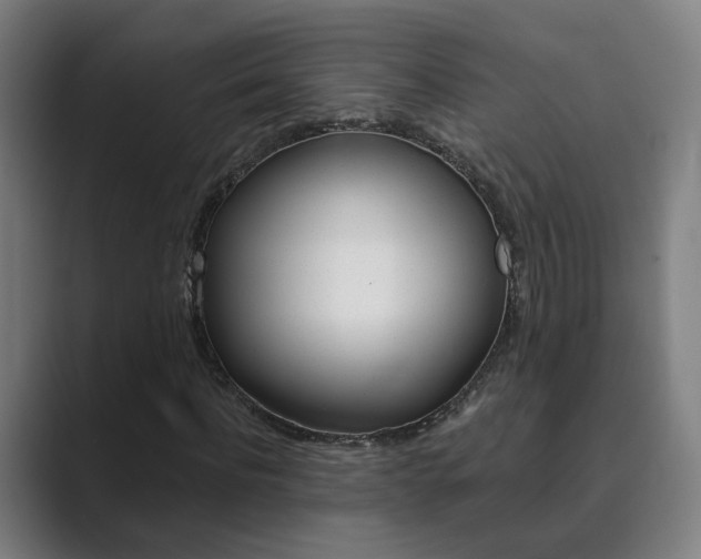 X0000089940916200706290812