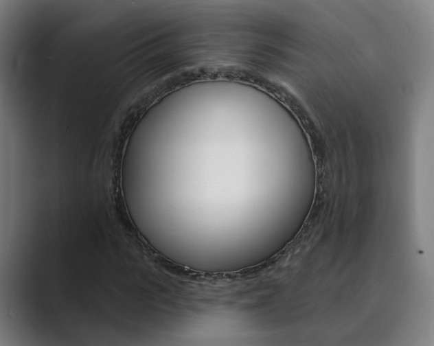 X0000089940919200706290812