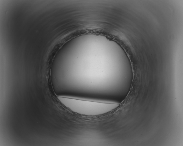 X0000089940920200706290812