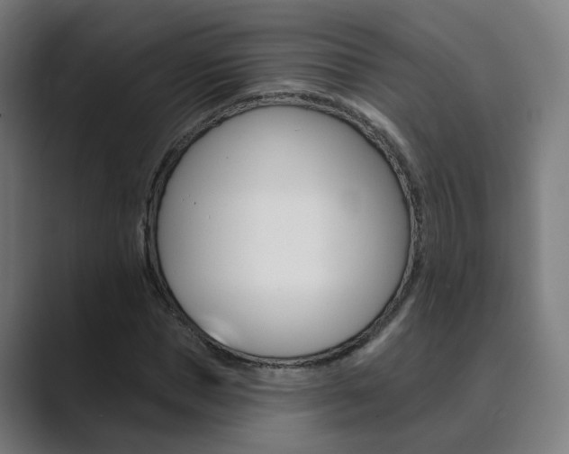 X0000089940921200706290812