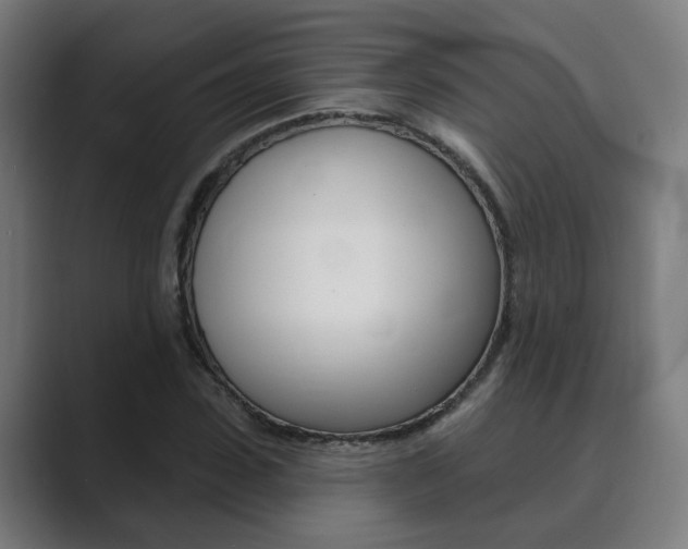X0000089940923200706290812