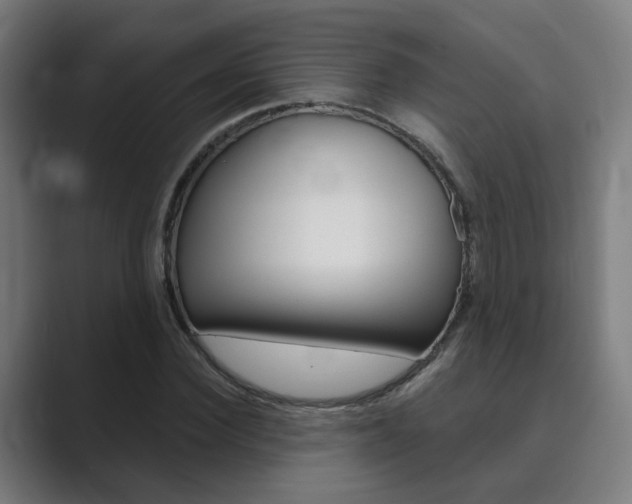 X0000089940924200706290812