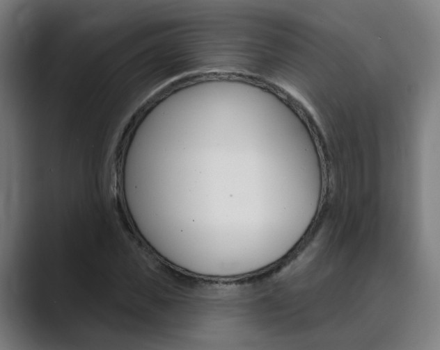 X0000089940925200706290812