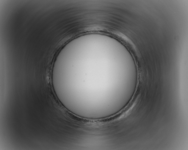X0000089940929200706290812