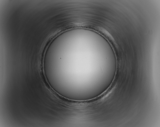 X0000089940930200706290812