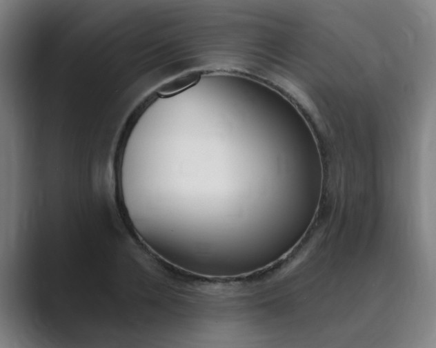 X0000089940936200706290812