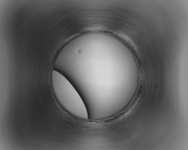 X0000089940937200706290812