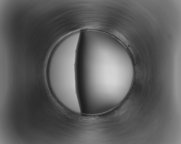 X0000089940939200706290812