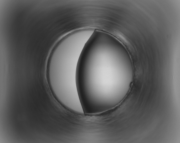 X0000089940940200706290812