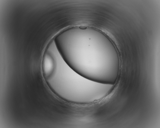 X0000089940941200706290813