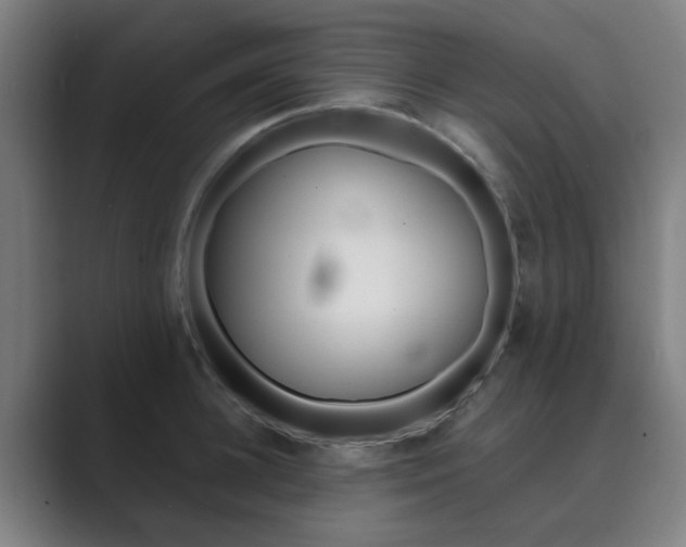 X0000089940948200706290813