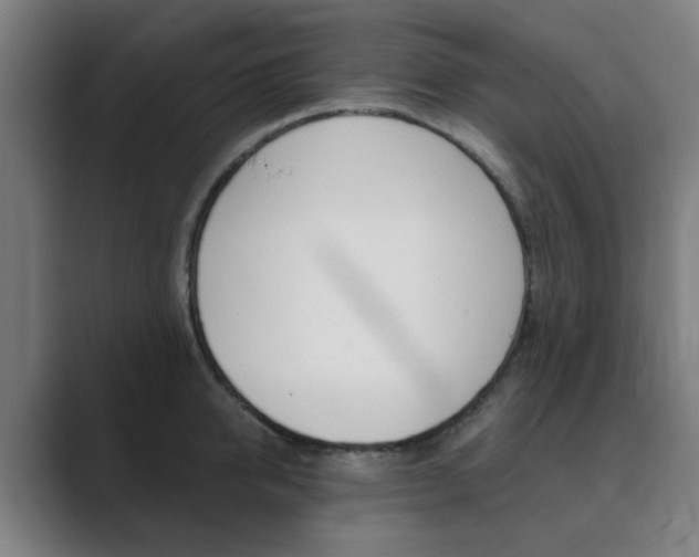 X0000089940950200706290813