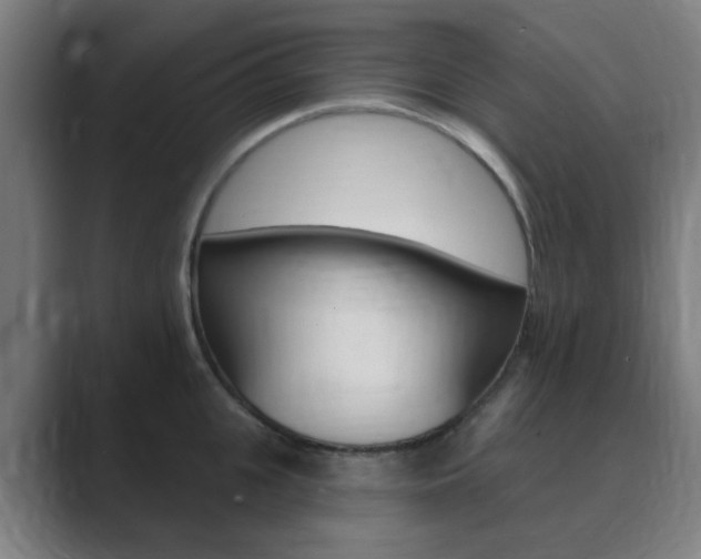X0000089940951200706290813
