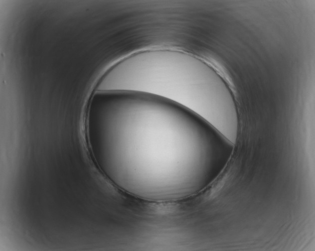 X0000089940952200706290813