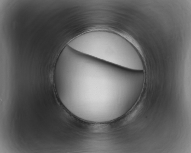 X0000089940953200706290813