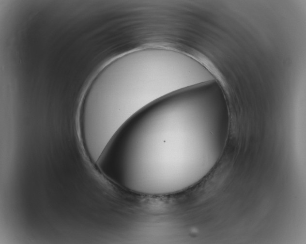 X0000089940955200706290813
