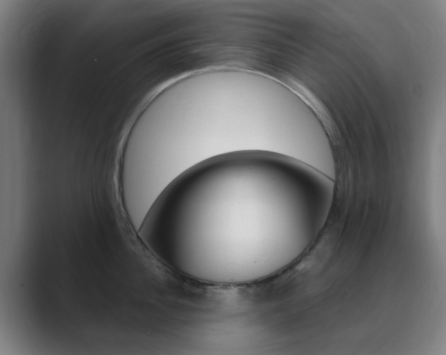 X0000089940956200706290813