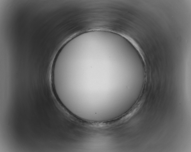 X0000089940957200706290813