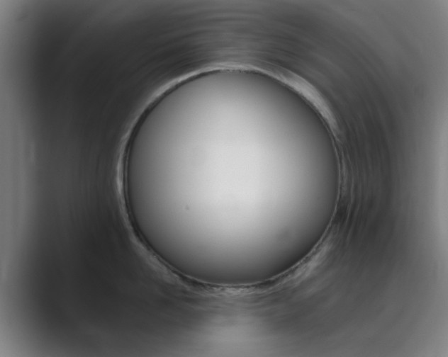 X0000089940958200706290813