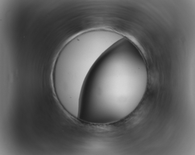 X0000089940959200706290813