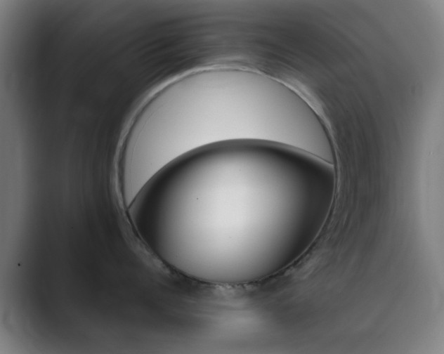 X0000089940960200706290813