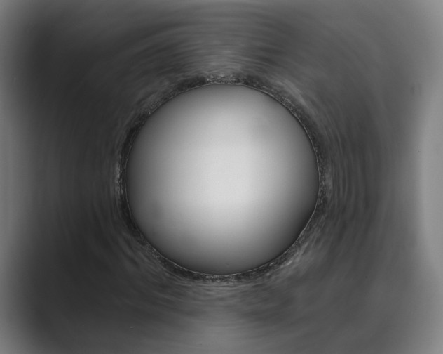 X0000089940964200706290812