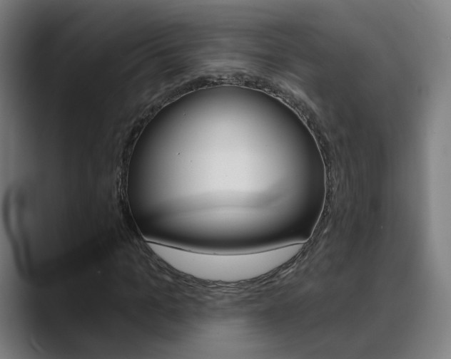 X0000089940965200706290812