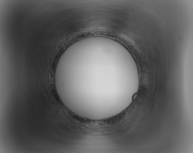 X0000089940966200706290812